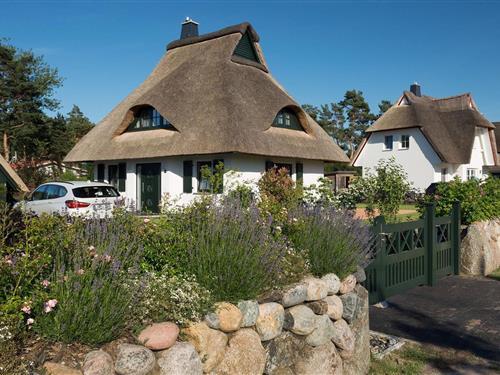 Sommerhus - 4 personer -  - Am Schabernack - 18356 - Fuhlendorf