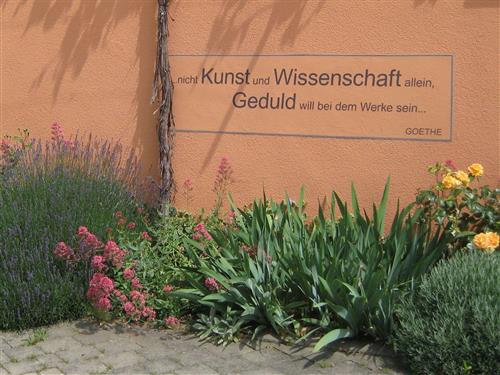  - 1 person -  - Hüttenheim - 97348 - Willanzheim