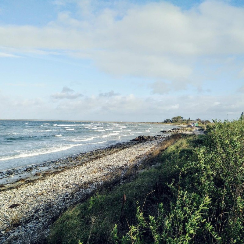 Sommerhus - 4 personer -  - Liljestræde - Ærø - 5970 - Ærøskøbing