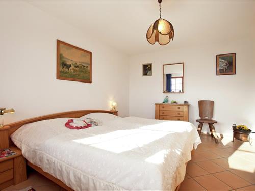 Ferieleilighet - 2 personer -  - 79875 - Dachsberg-Urberg