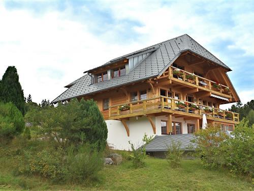 Holiday Home/Apartment - 2 persons -  - 79875 - Dachsberg-Urberg