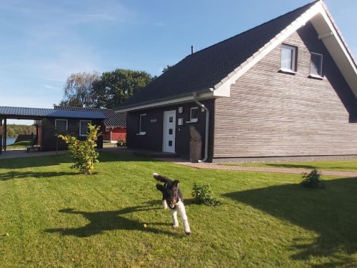 Sommerhus - 6 personer -  - 16837 - Flecken Zechlin