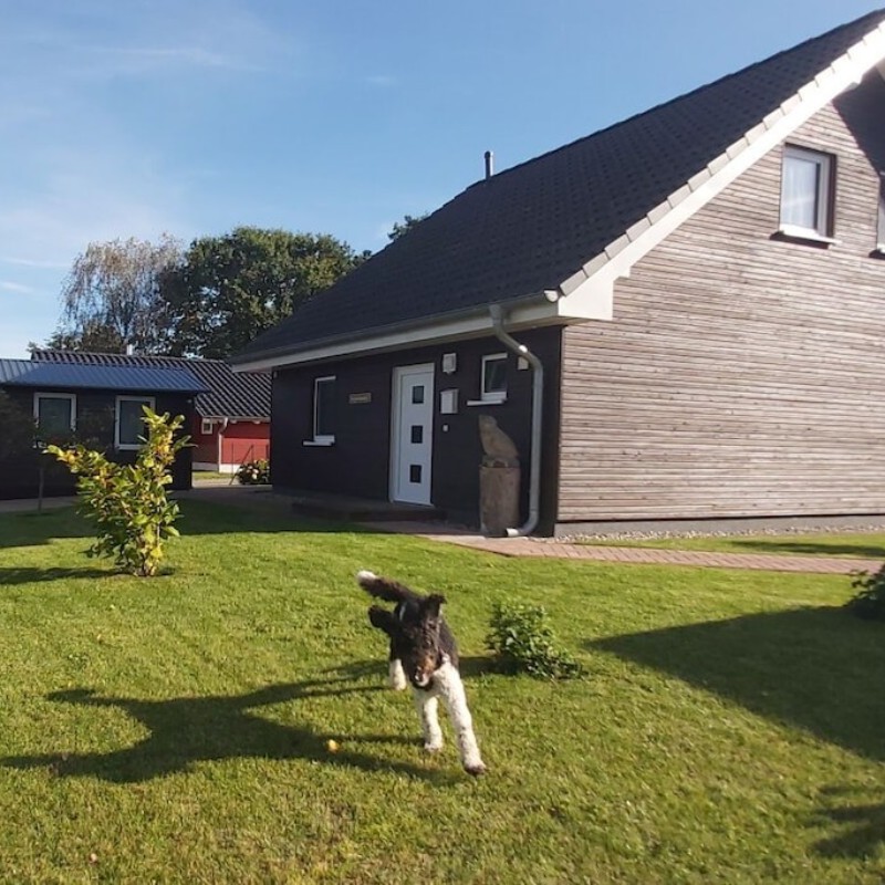 Sommerhus - 6 personer -  - 16837 - Flecken Zechlin