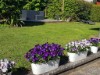 Bild 16