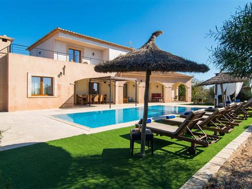 Fritidshus - 8 personer -  - Diseminado Son Amer - Sa Pedrera Den Miquel, Campos - 07630 - Campos