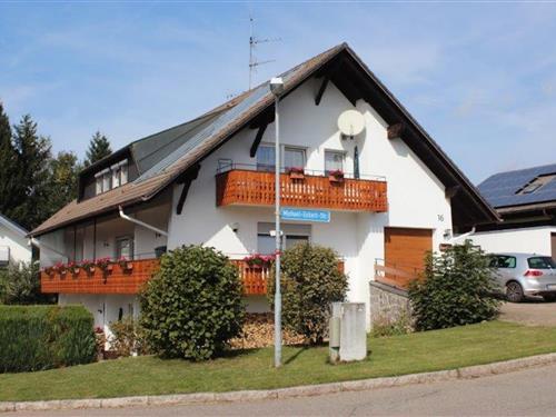 Ferienwohnung - 3 Personen -  - 79737 - Herrischried