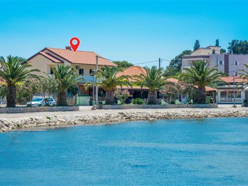 Sommerhus - 10 personer -  - Crljenica bb - Zadar-Bibinje - 23205 - Bibinje