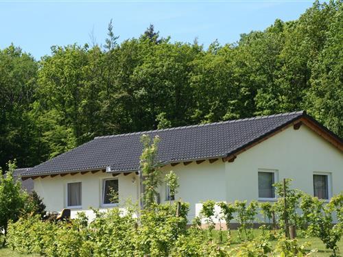 Ferienhaus - 6 Personen -  - 54568 - Hinterhausen - Gerolstein