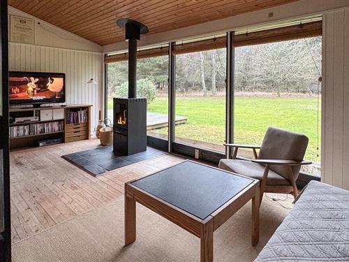 Ferienhaus - 5 Personen -  - Elefantvej - Bunken - 9982 - Aalbæk