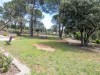 Image 37 - Outside