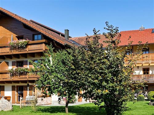 Sommerhus - 4 personer -  - Bärnzell - 94227 - Zwiesel