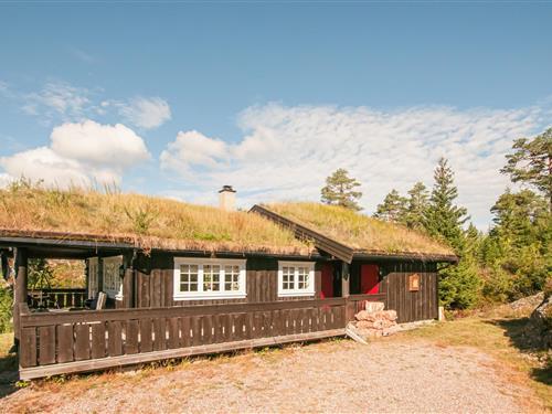 Sommerhus - 8 personer -  - Gaupefaret - Birkenåsen/Rena - 2450 - Rena