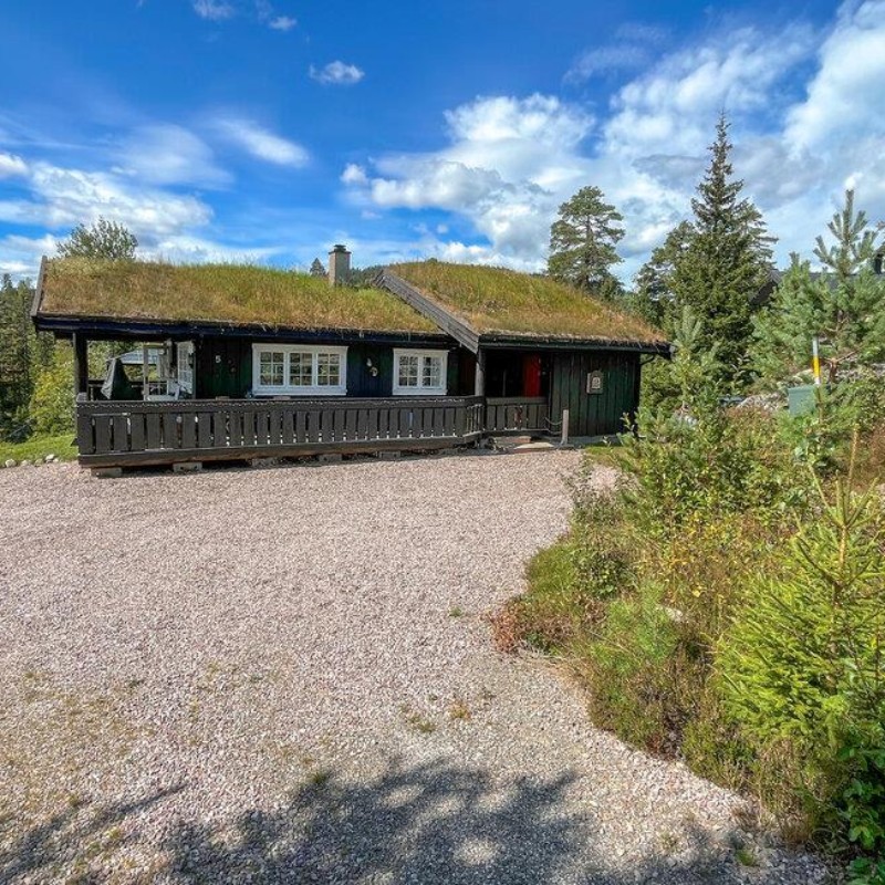 Sommerhus - 8 personer -  - Gaupefaret - Birkenåsen/Rena - 2450 - Rena