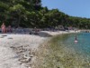 Bilde 13