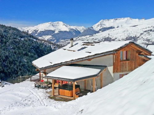 Feriehus - 14 personer -  - 73210 - Peisey-Nancroix