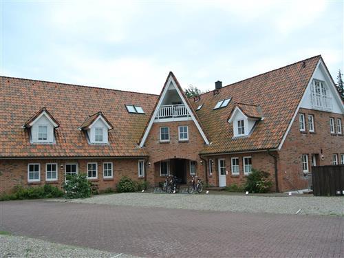 Feriehus / leilighet - 4 personer -  - Böhler Landstraße - 25826 - St. Peter-Ording