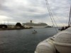 Billede 19
