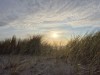 Billede 20