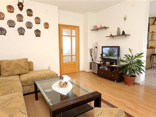 Holiday apartment - 6 persons -  - Drace - 20246 - Drace