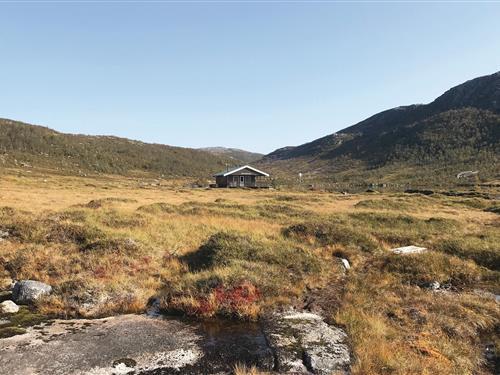 Feriehus / leilighet - 6 personer -  - Tjeldøyveien - Tjeldsund/Tjeldøya - 9444 - Hol I Tjeldsund