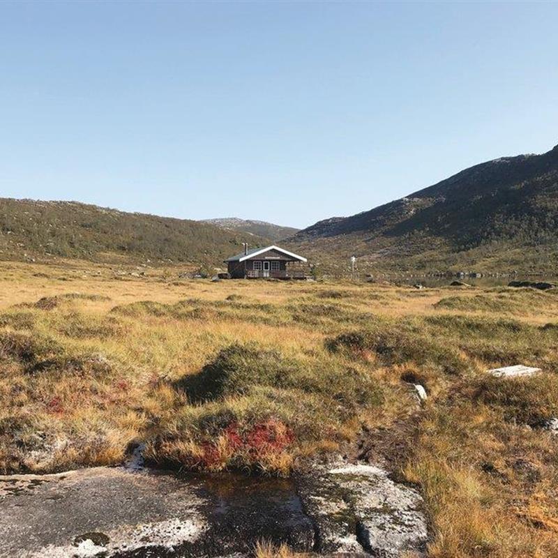 Sommerhus - 6 personer -  - Tjeldøyveien - Tjeldsund/Tjeldøya - 9444 - Hol I Tjeldsund