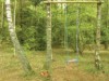 Bild 16
