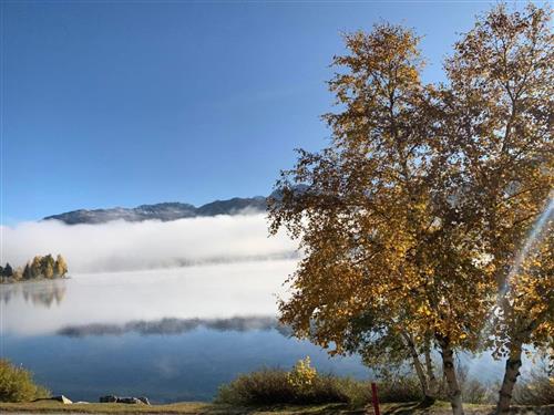 Holiday apartment - 2 persons -  - La Punt-Chamues-Ch - 7522