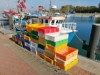 Billede 24