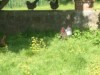 Bild 18