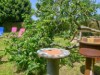 Image 27