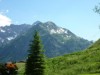 Bilde 6