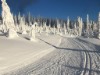 Bild 25 - Ude
