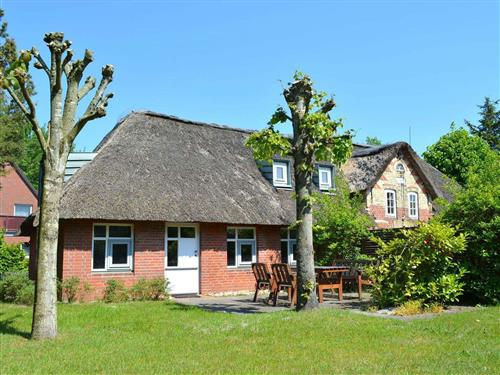 Ferienhaus - 5 Personen -  - Pestalozzistraße - 25826 - St. Peter-Ording