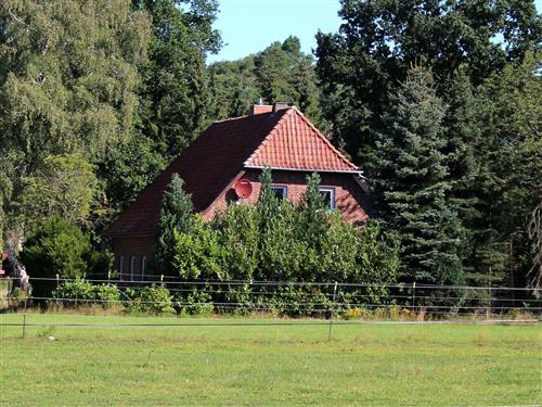 Semesterhus/Semesterlägenhet - 6 personer -  - Finteler Straße - 29640 - Schneverdingen