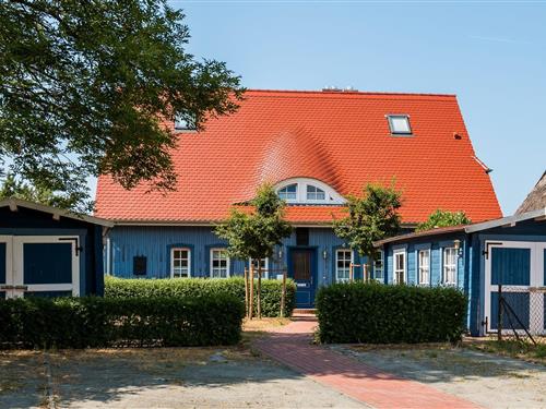 Ferielejlighed - 4 personer -  - Im Moor - 18375 - Born