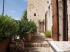 Image 31 - Outside