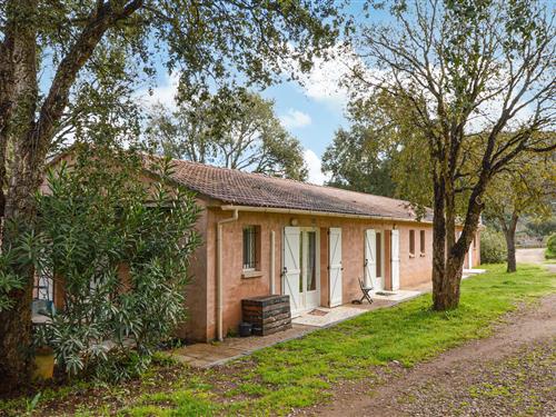 Sommerhus - 4 personer -  - Funtanone - Casamozza - 20290 - Vignale