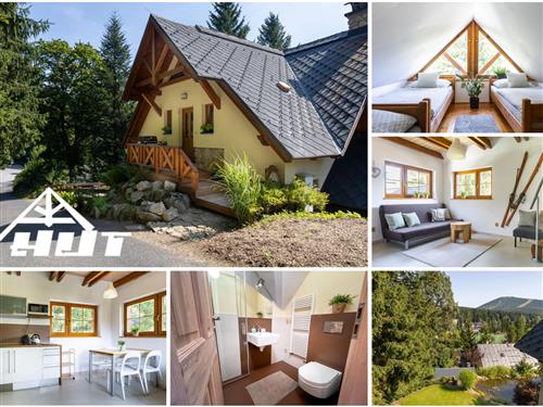 Ferielejlighed - 4 personer -  - Harrachov - 512 46