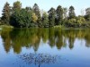 Bild 19 - Blick über's Wasser