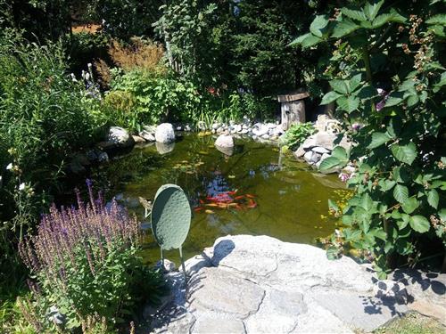 Ferieleilighet - 3 personer -  - Am Käserhügl - 94269 - Rinchnach