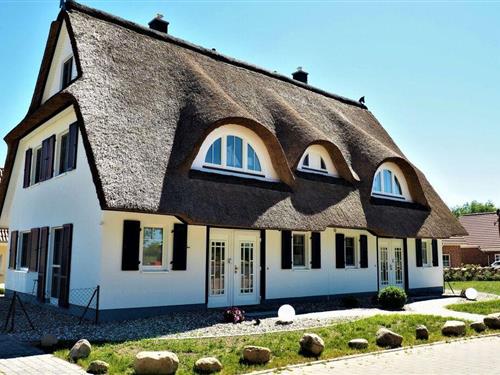 Holiday Home/Apartment - 9 persons -  - 18230 - Rerik