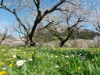 Image 27 - Outside