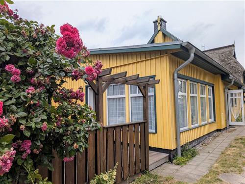 Ferielejlighed - 2 personer -  - Nordstraße - 18375 - Born