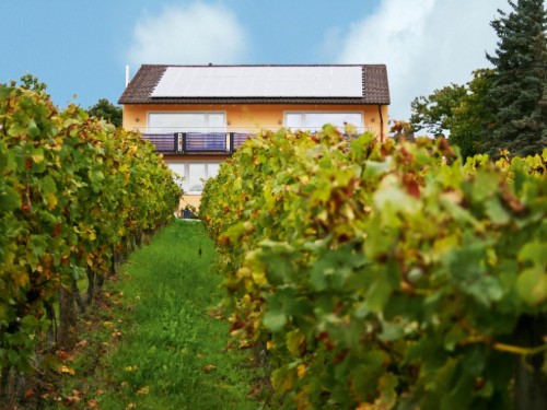 Ferienwohnung - 6 Personen -  - Am Woogberg - 67098 - Bad Dürkheim / Leistadt
