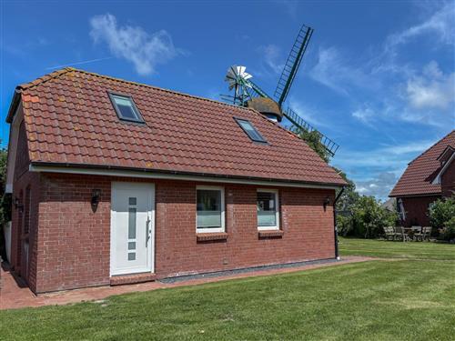 Holiday home - 6 persons -  - Süderhafen - 25845 - Nordstrand