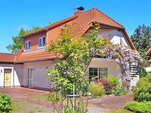 Ferieleilighet - 2 personer -  - Birkmaase - 18374 - Ostseeheilbad Zingst