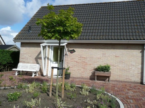 Feriehus - 5 personer -  - 3253 - Ouddorp