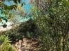 Image 19 - Outside