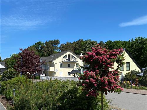 Ferielejlighed - 4 personer -  - Strandstraße - 18586 - Mönchgut Ot Thiessow  (Os