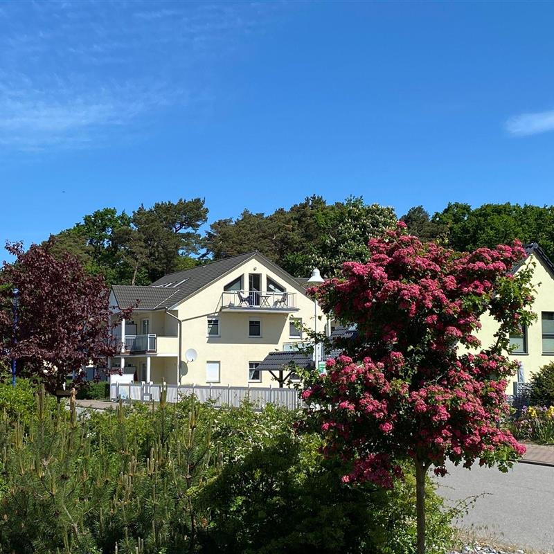 Ferielejlighed - 4 personer -  - Strandstraße - 18586 - Mönchgut Ot Thiessow  (Os